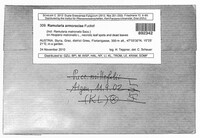 Image Associated With the Occurence